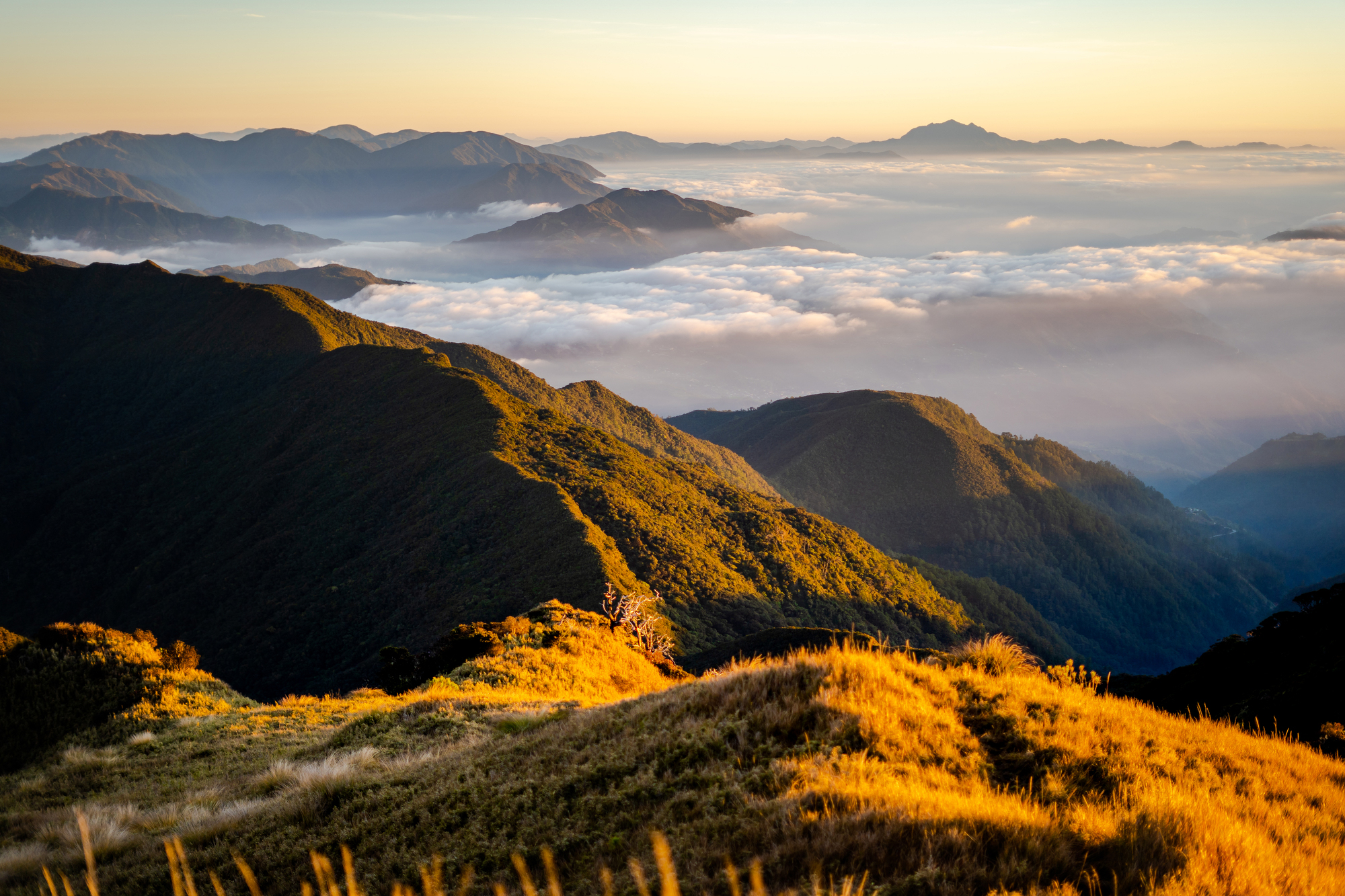 Mt. Pulag Adventure